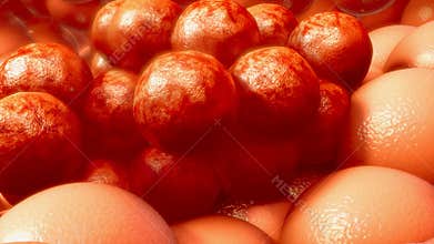 Cancer cells