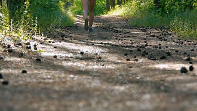 Runner woman running in park exercising outdoors fitness tracker wearable technology girl running in the woods in the