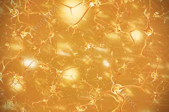 Nervous system 3d illustration of brain cells