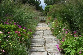 Flower Borders, Pathway, and Wooden Bench in Tintinhull Garden, Somerset, England