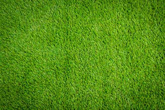 Green artificial grass .