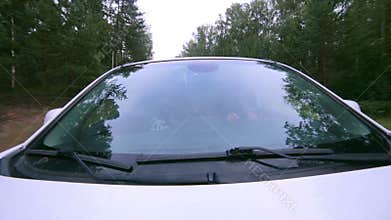 Trees reflected in car window. Windshield reflection. Car driving on a Country road.