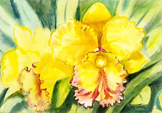 Painting yellow,orange color of orchid flower and green leaves