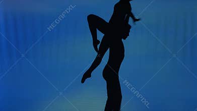 Silhouette of a dancing couple, performing acrobatic stunts