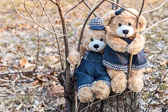 Teddy bears hanging on a branch