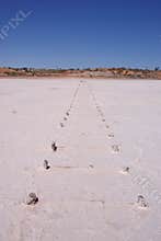 Disused railway track