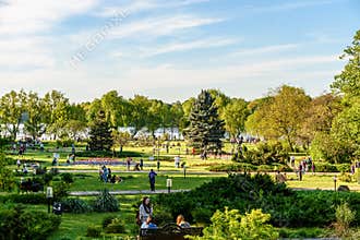 People Having Fun In Herastrau Public Park On Spring Day