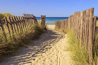 The Regional Natural Park Dune Costiere (Torre Canne): fence between sea dunes. BRINDISI (Apulia)-ITALY-