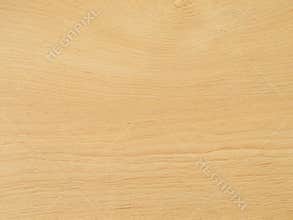 Seamless light brown beautiful wood texture background with natural pattern