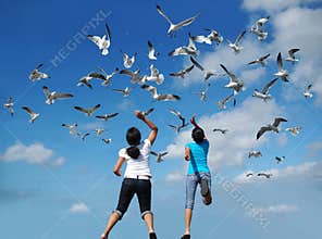 Feeding the Birds