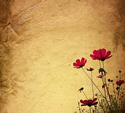 Flower vintage paper
