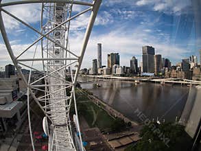 Wheel of Brisbane