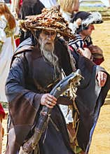 Medieval druid