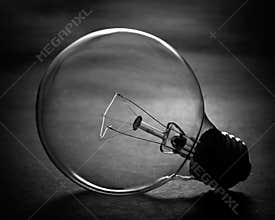 Light Bulb
