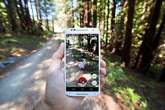 Pokemon GO App Showing Pokemon Encounter