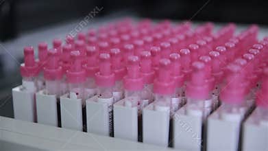 Laboratory beakers, test tubes.