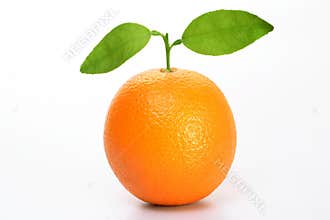 Fresh Orange fruit