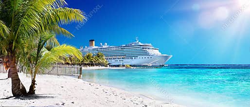 Cruise To Caribbean With Palm tree
