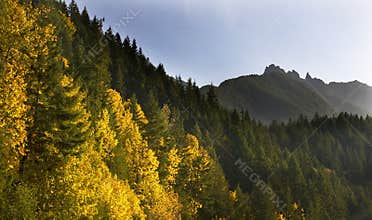 Fall Colors Stevens Pass Leavenworth Washington
