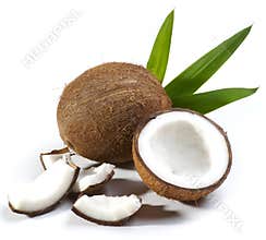 Coconut fruit