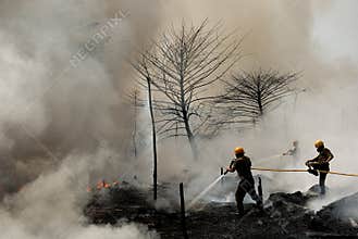 Firemen at Work