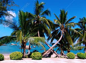 Landscapes by the sea