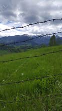 Barbed wire around mountain pasture