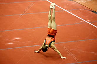 Milan Gymnastic Grand Prix 2008