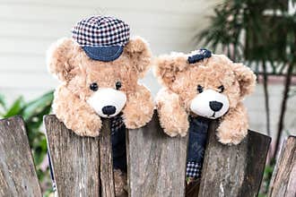 Teddy bears hanging on the fence