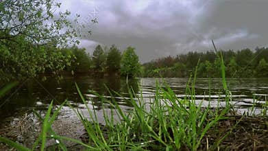 Rainy river picturesque coast virgin forest nature rock