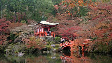 Benten-do temple & autumn colour