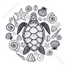 Sea turtle and shells in line art style. Hand drawn vector illustration. Set of ocean elements