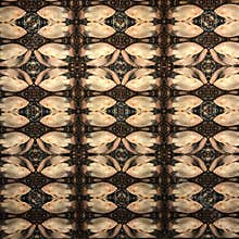 Fish abstract background
