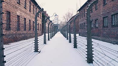 Steadicam walk between barbed wire fences. Auschwitz Birkenau, German Nazi concentration and extermination camp