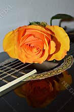 Poetry and music, close-up