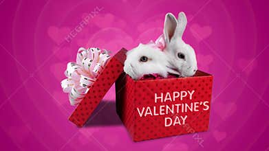 A happy couple of rabbits in love, Valentines Day greeting card