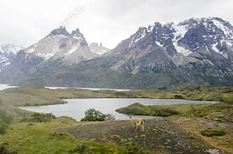 Torres del Paine National Park