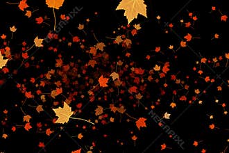 Yellow, brown, red colorful leaves autumn colors flying on black background, leaf fall season
