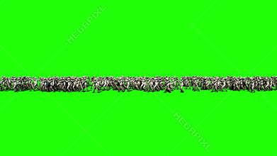 A large crowd of zombies. Apocalypse, halloween concept. 4K green screen animation.