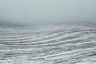 Field in the haze in wintertime.