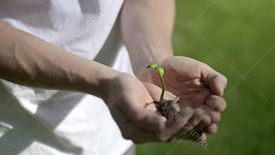 Plant Growing on Hands