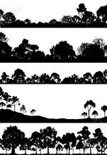 Woodland foregrounds