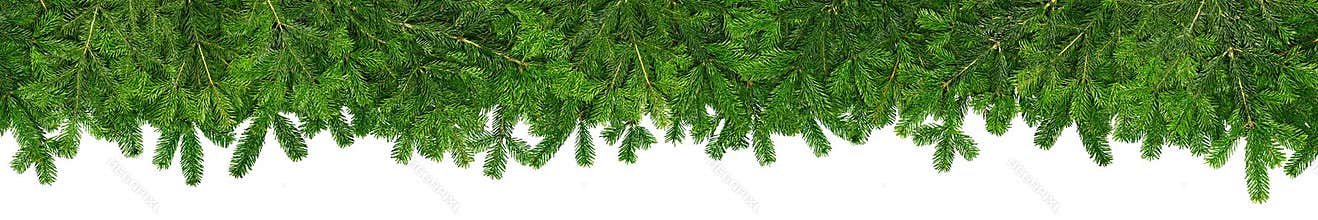 Christmas garland super wide panorama banner with fir branches