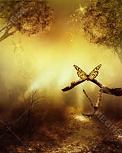 Dreamland