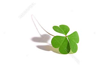 Good Luck !