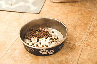 Mostly empty dog food bowl on kitchen floor.