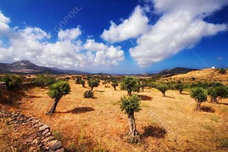 Summer landscape - Naxos island, Greece