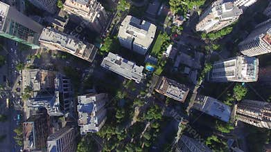 City buildings from the top