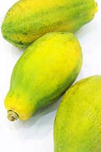 Papaya