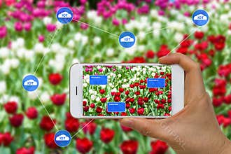 Smart Farming Agriculture Concept Using Cloud, Big Data, Augment